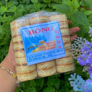 Bánh đậu xanh nhân thịt Hội An